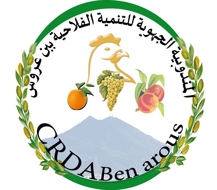 WhatsApp Image 2024-07-08 at 03.02.08 (1)